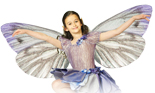 Flower Fairies